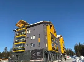 Levin Kunkku B4