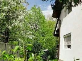 Casa File de Poveste
