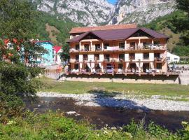 Pension Camelia, hotel v destinácii Băile Herculane