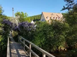 Apartment Pegnitzmühle mit Pegnitzinsel