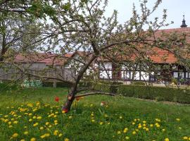 Pension Töpferhof, hotel in Bad Berka