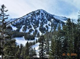 Mammoth Ski & Racquet Club #38 - Pet Okay, hôtel acceptant les animaux domestiques à Mammoth Lakes