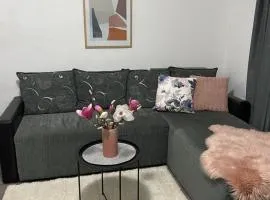 Apartman Aleksic