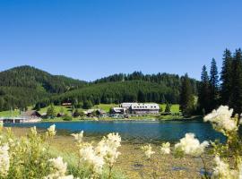 Hotel Teichwirt, hotel in Fladnitz an der Teichalm