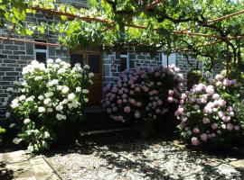 The Mosaic House - Shtepia me Mozaik, hotel v destinaci Përmet