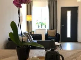 Dock 2 apartment