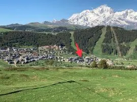 Grand appartement aux SAISIES