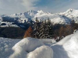 les 3 marmottes - Les Arolles, hotel v mestu Bourg-Saint-Maurice
