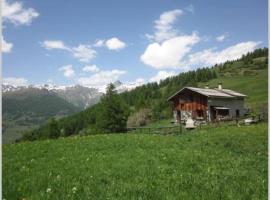 Chalet d'alpage Le Lauzeron: Aiguilles şehrinde bir otel