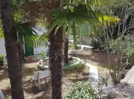 Apartment Mir