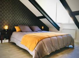 PYRENE HOLIDAYS 4 étoiles spacieux dans immeuble atypique proche des thermes et des Pyrénées, cheap hotel in Capvern
