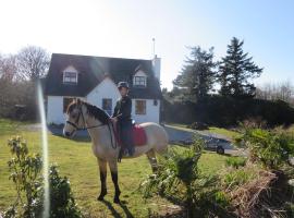 Letterfrack Farmhouse on equestrian farm in Letterfrack beside Connemara National Park, cottage in Tullywee Bridge