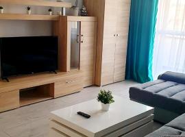 Apartament Central Radu