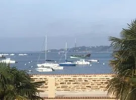 GÎte indépendant dans une villa -Vue et accès direct mer - avec 3 chambres et 3 grandes terrasses