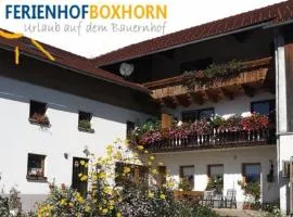 Woferlhof, Ferienhof Boxhorn