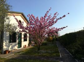 Casa Pianta, hotelli Cavallino-Treportissa