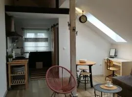 Studio apartman HANA