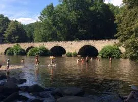 La mémée du Saillant