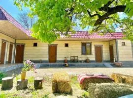 Aghasu Tun B&B