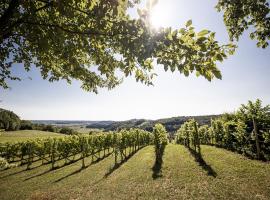 Weingarten & Appartement Auszeit - Therme Loipersdorf، فندق في Söchau