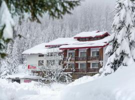 Hotel Elitza, hotel u Pamporovu
