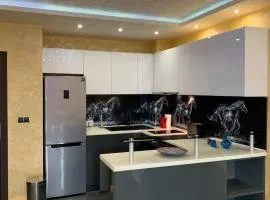 Obzor Tatyana Apartaments Nemo