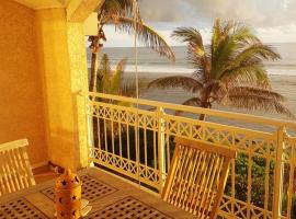 Appartement d'une chambre avec vue sur la mer balcon amenage et wifi a Les Trois Bassins a 1 km de la plage, hotel con parking en Le Bois de Nèfles