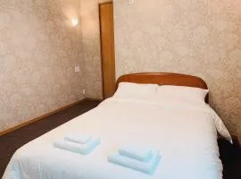 Allcomein Hotel Akihabara
