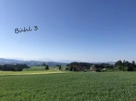 Bühl 3