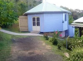 Bungalow de 2 chambres avec piscine partagee jardin amenage et wifi a Le Robert a 1 km de la plage