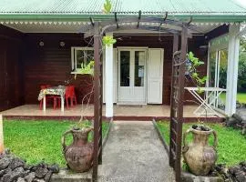 Maison de 2 chambres avec jardin amenage et wifi a Saint Benoit