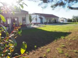 Casa das Pipas Palmela #5