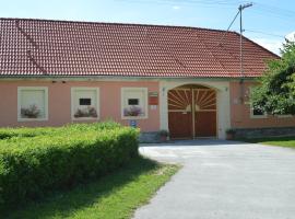 Ubytování U Zimů, place to stay in Vodňany