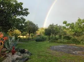 Quinta Sarnadela - Spacious 3 bedroom house with mountain view