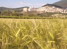 B&B Domus Benedicta
