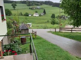 Schwarzwaldblick, hotel cerca de Hochfirstschanze, Titisee-Neustadt