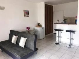 Studio avec vue sur mer à La Trinité - 30 m² - Climatisé