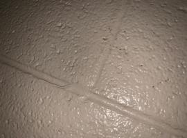 PeArl island, hotel em Charlottesville