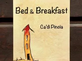 Ca' di Pincia