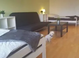 1 A Ferienwohnung Modern Duisburg