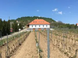 Somló Kolonics Kúria