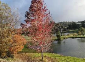 Woodlands of Balingup Bush Cottages -Flora & Fauna focused