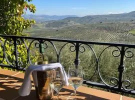 Luxury Spanish Country House close to Granada & Sierra Nevada