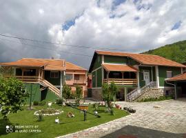 Guest House Vila Banjica, B&B in Pirot