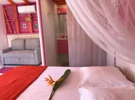 Les Cauris de l'Anse