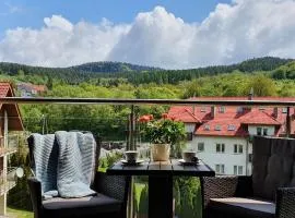 Apartament Jaworzyna - bezpłatny parking w hali garażowej