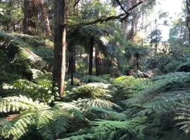 Emerald Creek Cottages