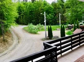 Apartament Stanca Piticului