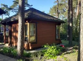 Zīlīšu holiday house