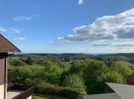 Gemütliche Ferienwohnung Harz Braunlage Hohegeiß